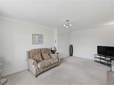 Picture 7